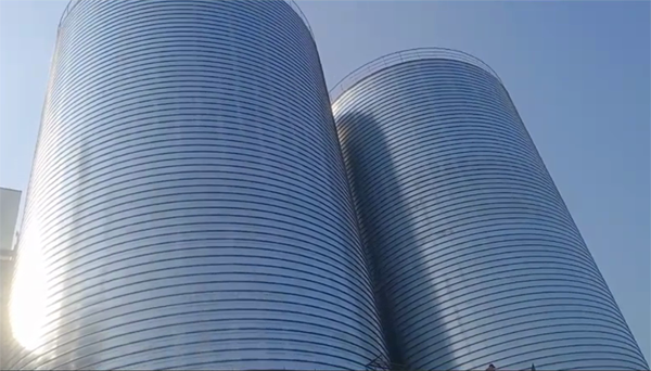 文儒镇2座混凝土高架卷板仓